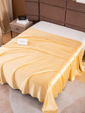 SilkSilky FR 19Momme Pure Soie Sheet Champagne 003