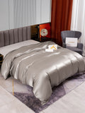 SilkSilky FR 22Momme Pure Soie Duvet Cover Gris 002