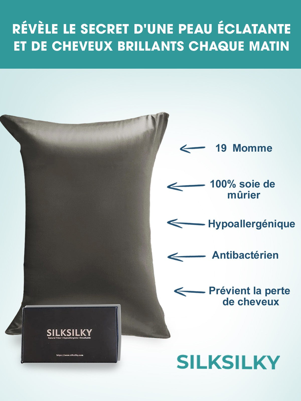 SilkSilky-FR 19Momme Pure Soie Pillowcase GrisFoncé 003