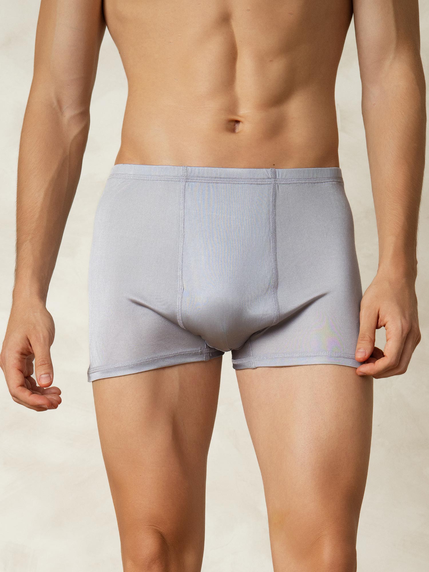 [Gris] SilkSilky-FR Soie Tricotée Mens Underwear 003