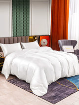 [Blanc] SilkSilky-FR 25Momme Parure de Lit Soie 001